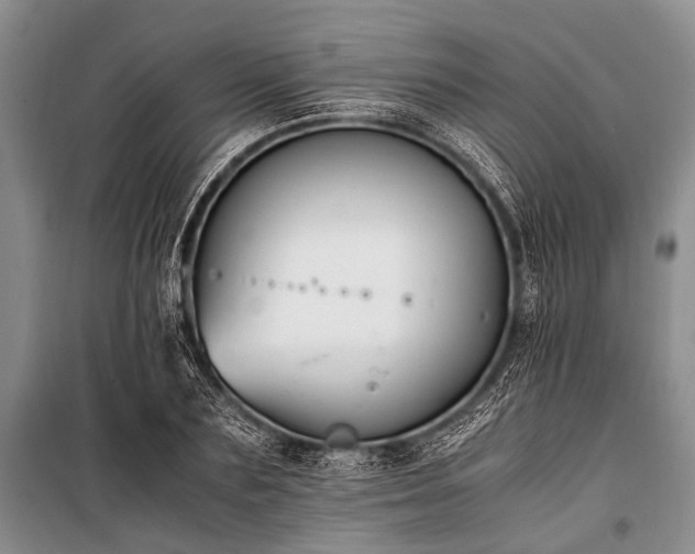 X0000100940883200807011242