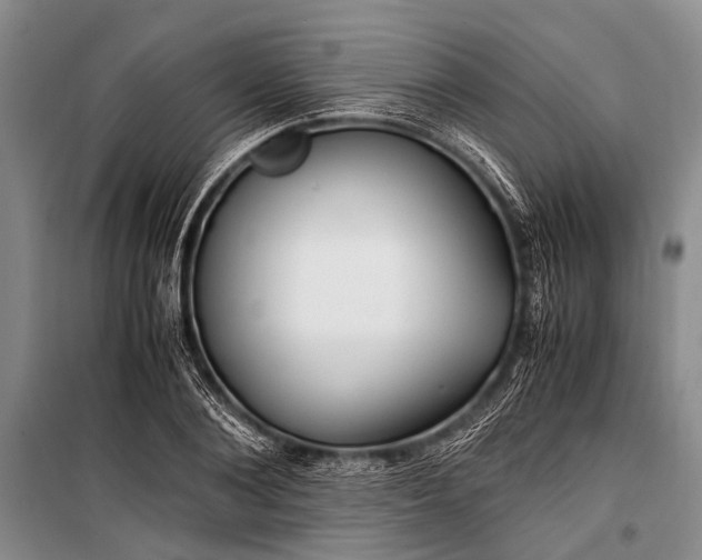 X0000100940884200807011242