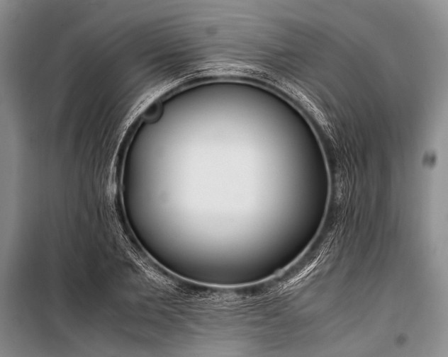 X0000100940885200807011242