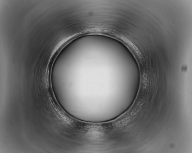 X0000100940886200807011242