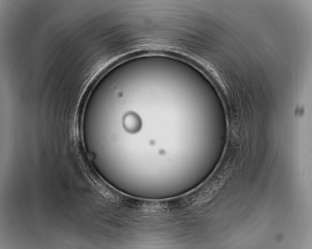 X0000100940887200807011242