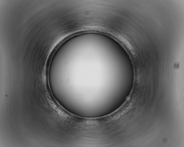 X0000100940888200807011242