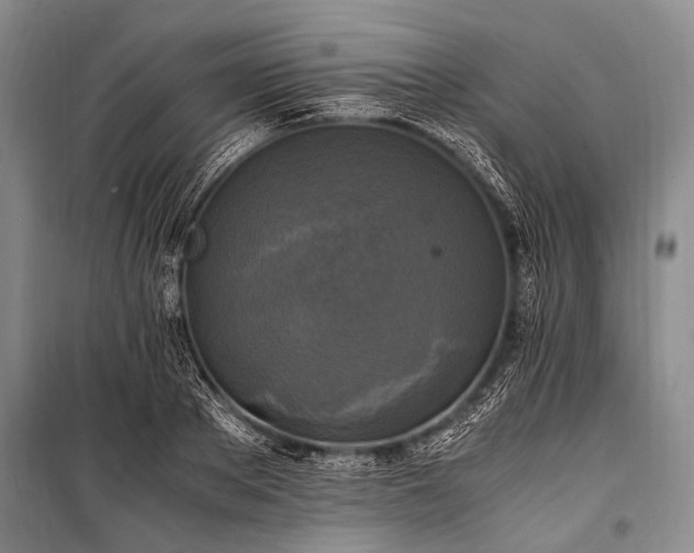 X0000100940889200807011242