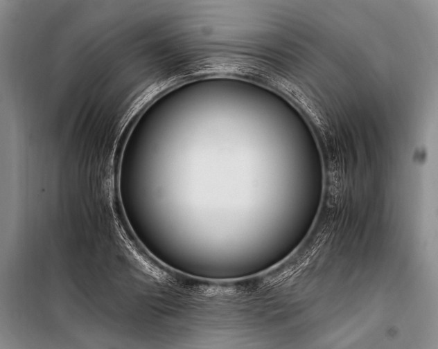 X0000100940890200807011242