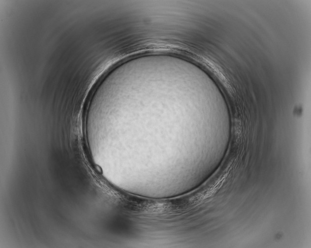 X0000100940891200807011242