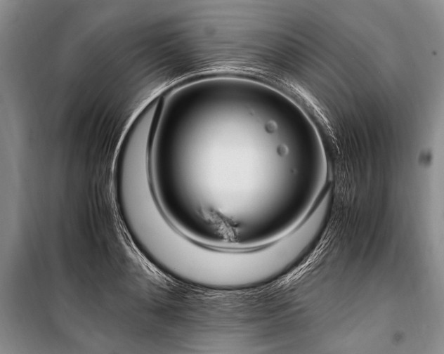 X0000100940892200807011242