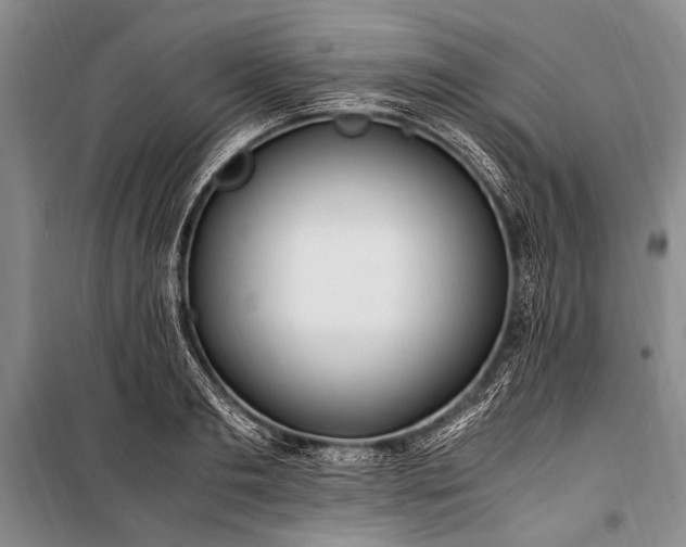 X0000100940893200807011242