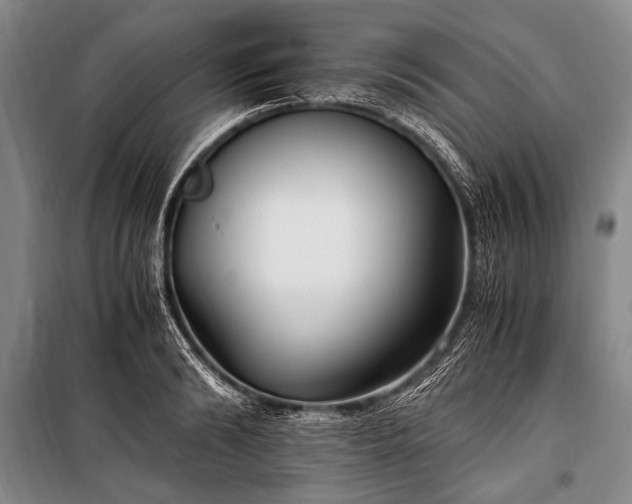 X0000100940894200807011242