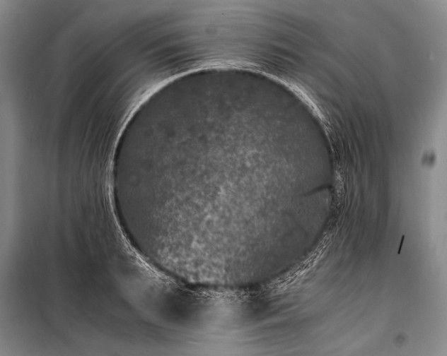 X0000100940895200807011242