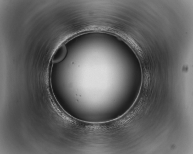 X0000100940896200807011242