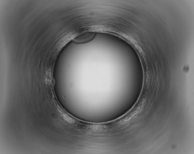 X0000100940897200807011242