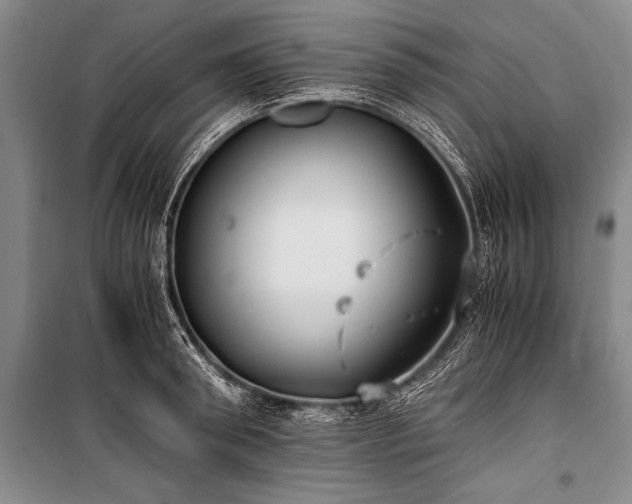 X0000100940898200807011242