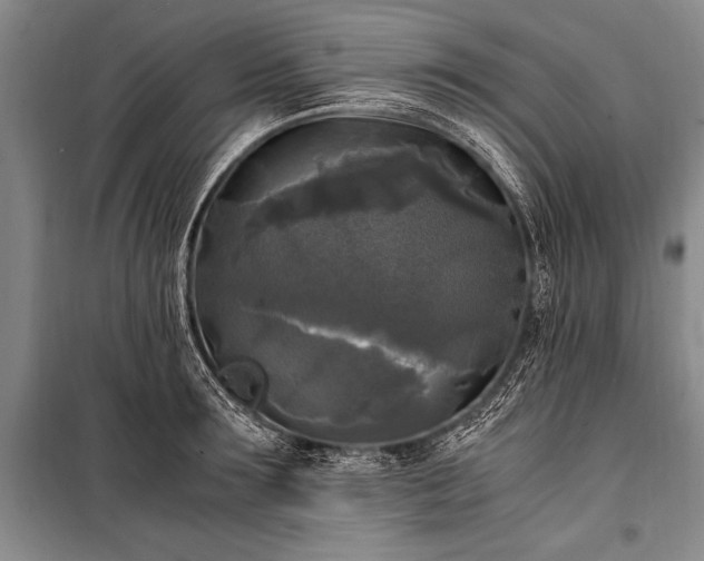 X0000100940899200807011242