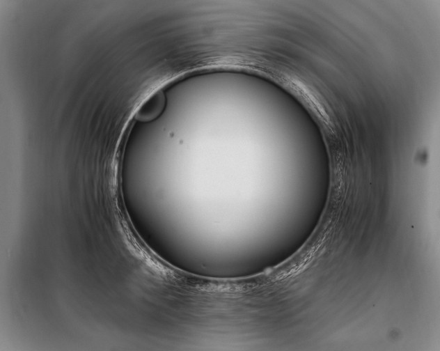 X0000100940900200807011242