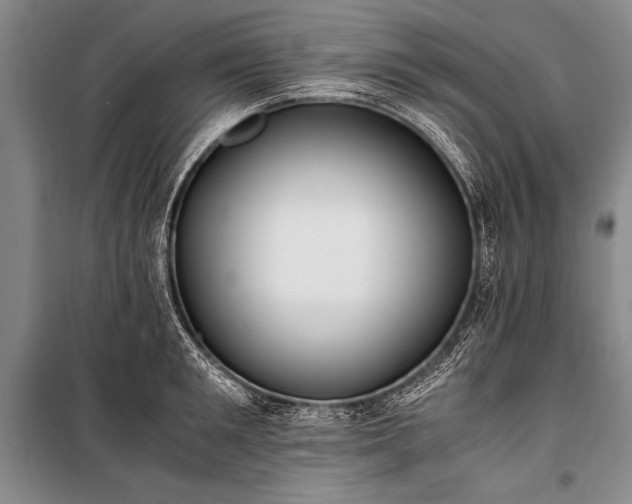 X0000100940901200807011242