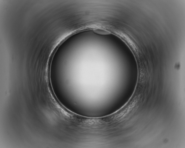 X0000100940902200807011242