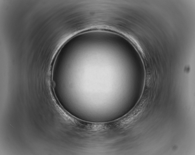 X0000100940903200807011242