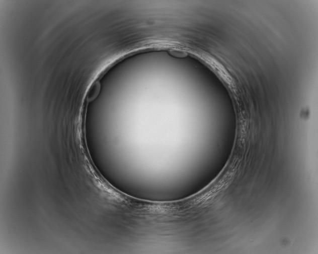 X0000100940904200807011242