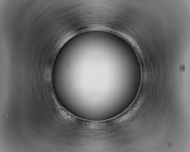 X0000100940905200807011242