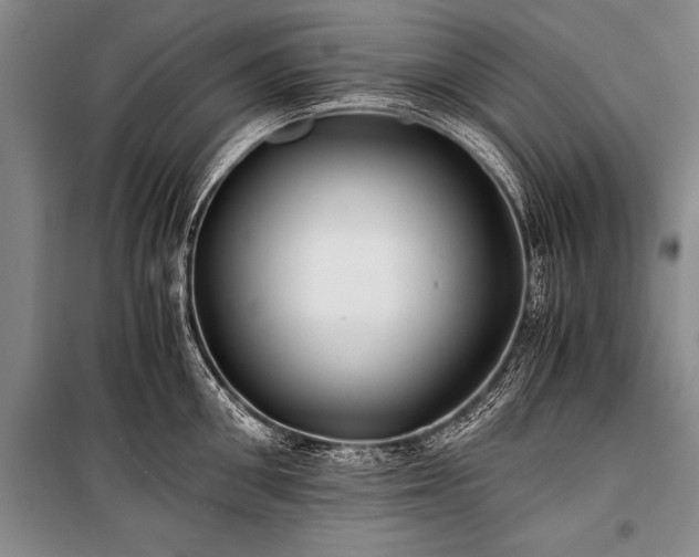 X0000100940906200807011242