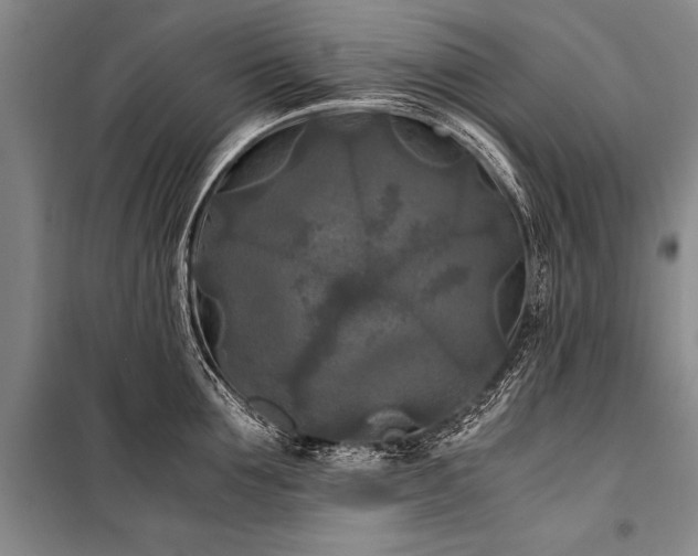 X0000100940907200807011242