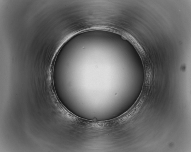 X0000100940908200807011242