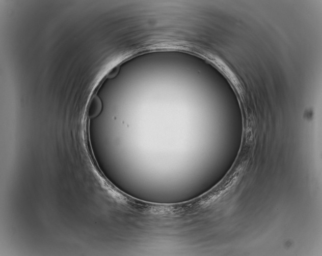 X0000100940909200807011242