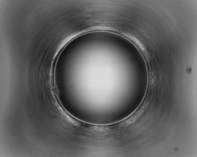 X0000100940910200807011242