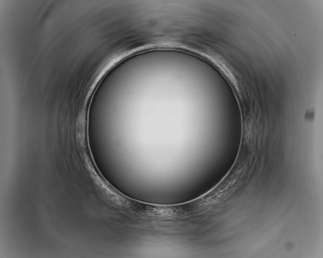 X0000100940911200807011242