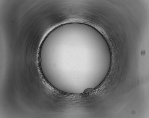 X0000100940912200807011242