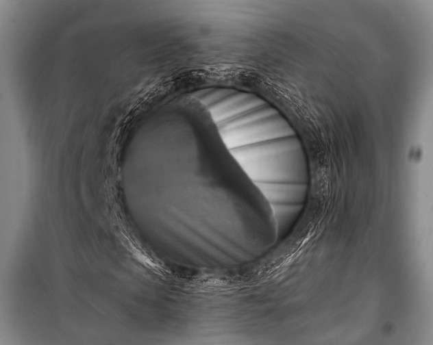 X0000100940913200807011241