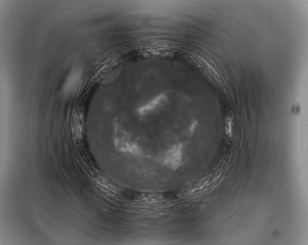 X0000100940915200807011241