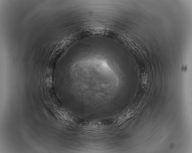 X0000100940916200807011241