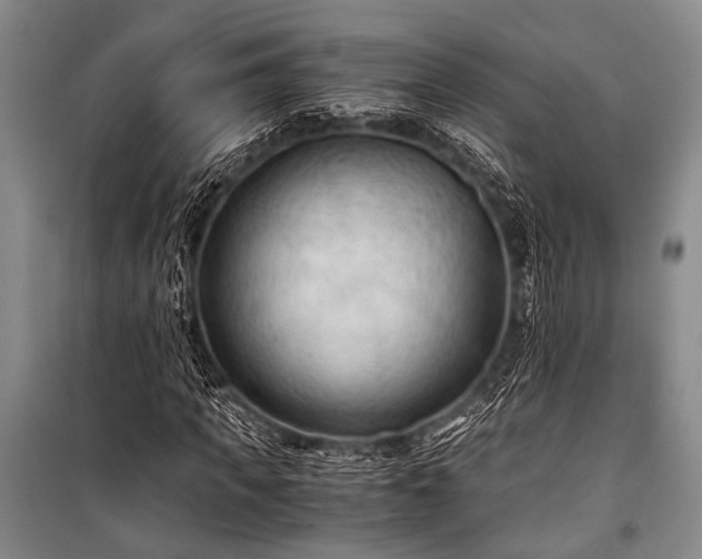 X0000100940917200807011241