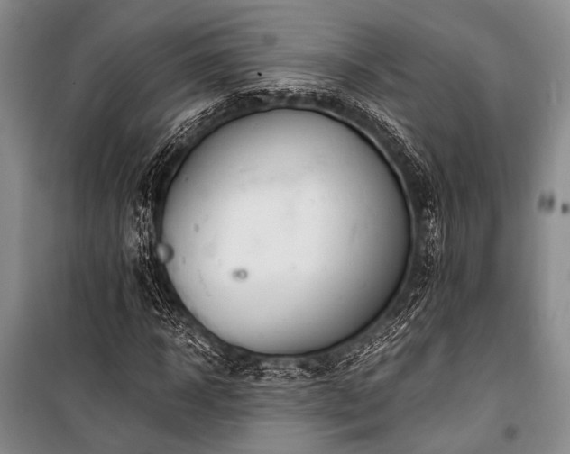 X0000100940918200807011241