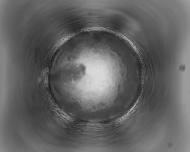 X0000100940921200807011241