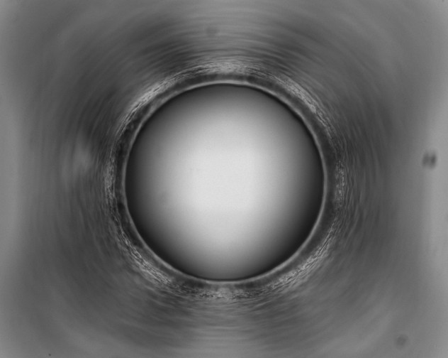 X0000100940922200807011241