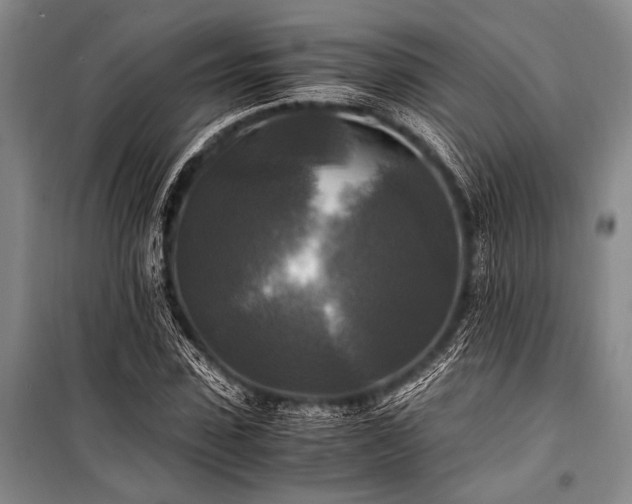 X0000100940923200807011241