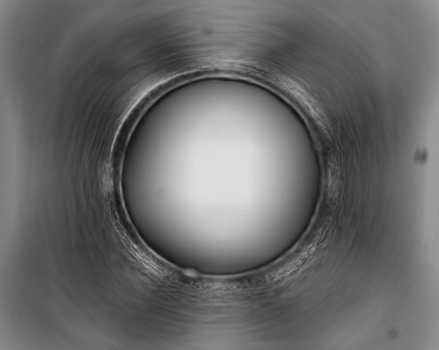 X0000100940924200807011241