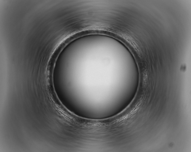 X0000100940926200807011241