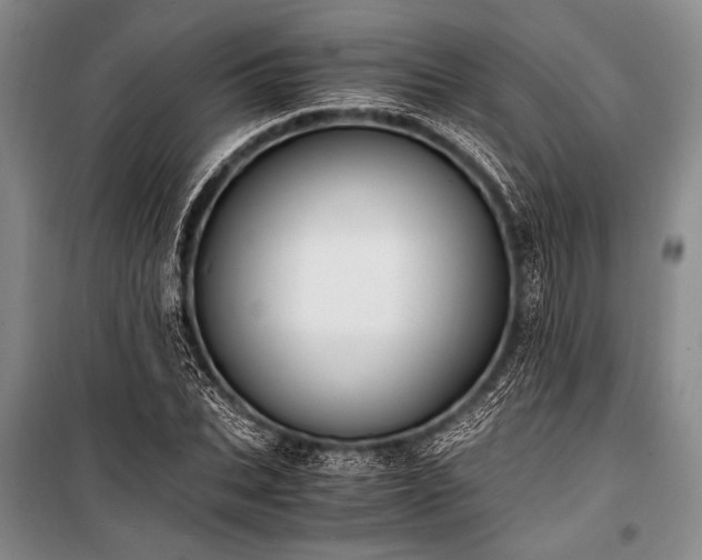 X0000100940927200807011241