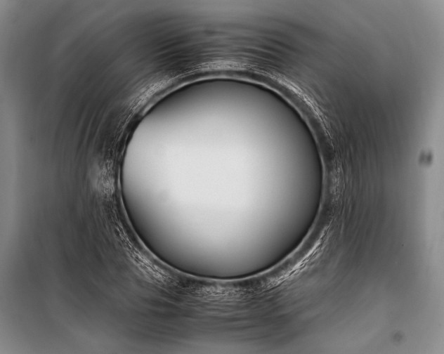 X0000100940929200807011241