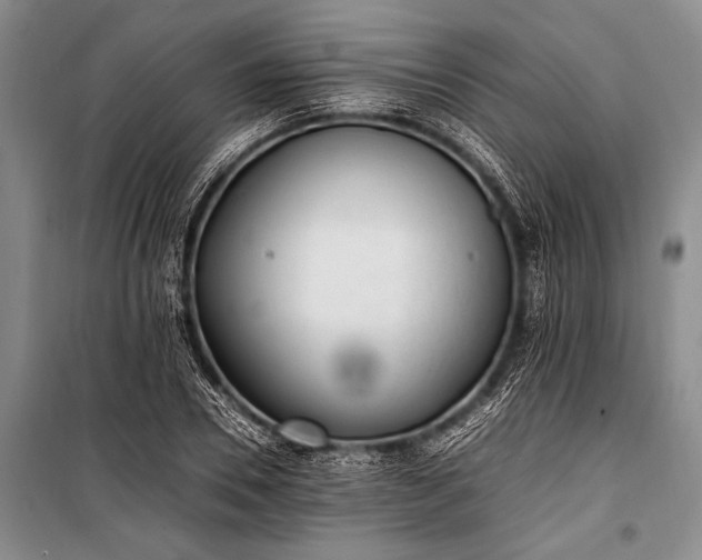 X0000100940930200807011241