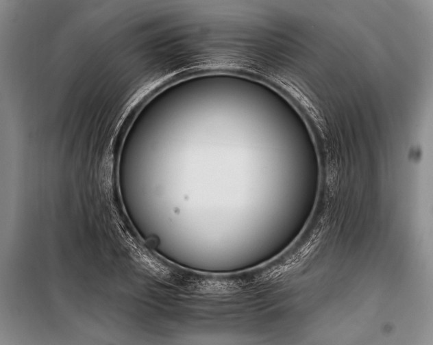 X0000100940933200807011241