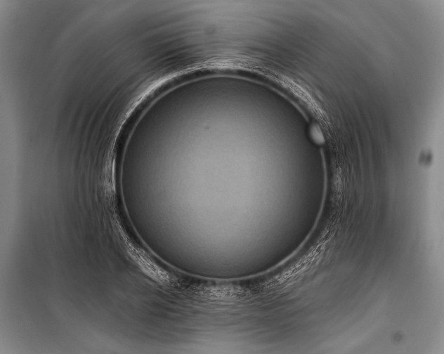 X0000100940934200807011241