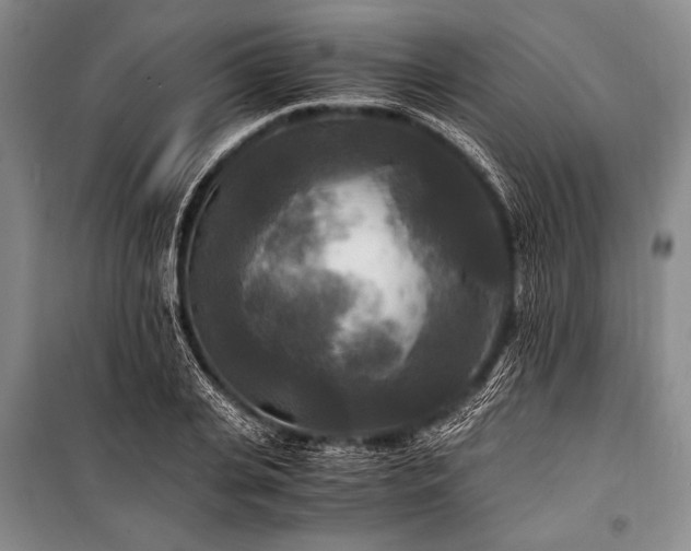 X0000100940935200807011241