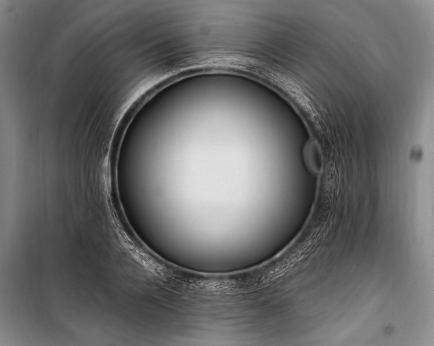 X0000100940936200807011241