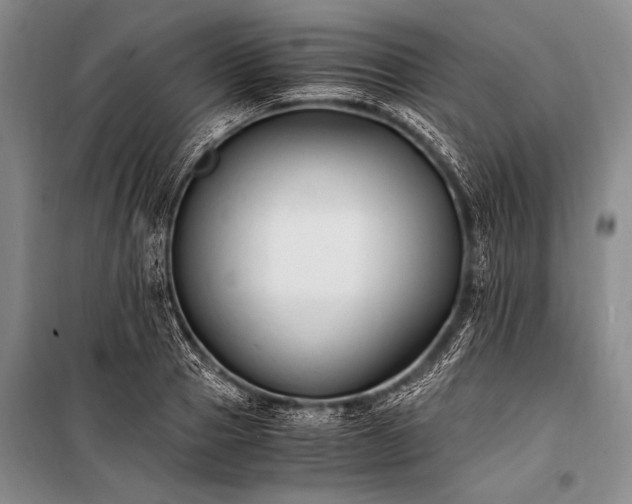 X0000100940937200807011242