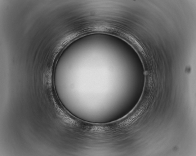 X0000100940938200807011242