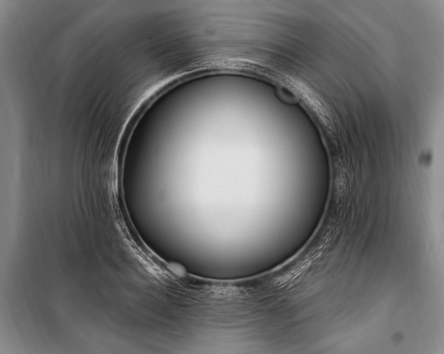 X0000100940940200807011242